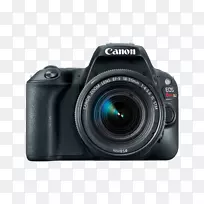 佳能反影SL2 dslr相机配18-55 mm+75-300 mm双变焦镜头套件