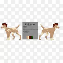 犬种骆驼野生动物狼鼠尾草