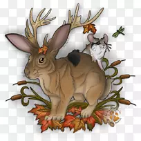 家养兔艺术鹿民间纹身
