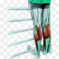 背阔肌伸展运动灵活性-小腿伸展
