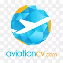 aviationcv.com飞机驾驶员Avia解决方案组-Microsoft飞行模拟器2015