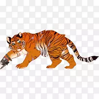 黑虎狮刺猫图形设计师-帆狼