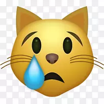 猫面带着喜悦的泪水表情剪辑艺术iphone-猫哭