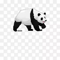大熊猫狗科插图-沙兰包装