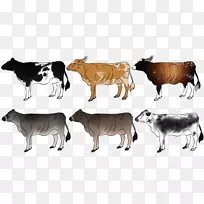 奶牛，玉米牛，剪贴画，野生动物.瑞士奶牛壁纸