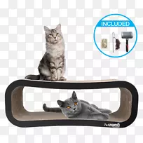 国内短毛猫狗皮瓣宠物纸板猫抓痕