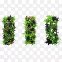 绿色墙垂直花园石墙假绿色植物