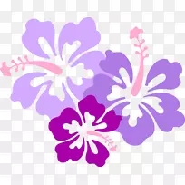 夏威夷语言剪辑艺术迷迭香花紫色夏威夷