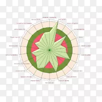 产品设计图样图叶角分析问题解决技巧
