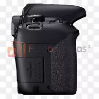 佳能反制t7i/800 d dslr相机，18-55 mm镜头数码单反rcanon-s 18-55 mm镜头canon-s镜头安装在三脚架上