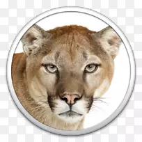 OSx美洲狮MacOS x狮子苹果MacBook pro Macintosh-山地狮图