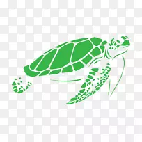 海龟模板图形-鬣蜥笼最佳