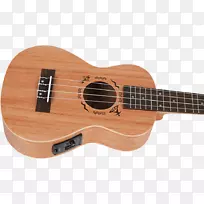 Uukulele，声学吉他，声电吉他，低音吉他，Cuatro-夏威夷乐器历史