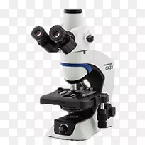 光学显微镜奥林巴斯公司显微镜第一显微镜