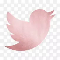 剪贴画徽标电脑图标社交媒体LinkedIn-Twitter粉色火花