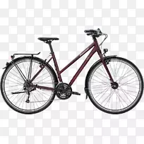 特里克自行车公司山地自行车-交叉混合动力自行车-低骑自行车4销售