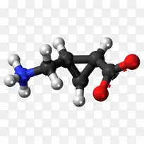 羧酸氨基酸有机化合物羧基cAMP分子