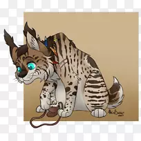胡须猫虎西洛艺术博物馆-山猫