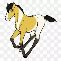 野马马驹笼头种马剪贴画-西马龙埃斯佩兰萨的精神种马