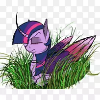 马插图卡通紫色叶子-宇宙布朗尼