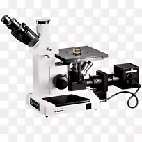 倒置显微镜光学显微镜数字显微镜尼康立体显微镜