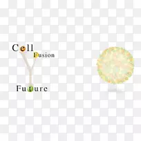 产品设计线字体-肝细胞再生