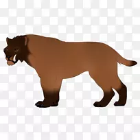 狮子大猫狗繁殖美洲狮-它的500在某处