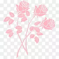 t恤船员颈画图片桌面壁纸-Ariana Grande编辑