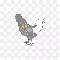 公鸡夹艺术插图动物群