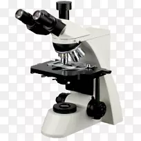 光学显微镜目镜立体显微镜Leitz显微镜