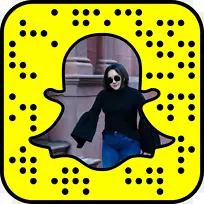 Snapchat社交媒体营销管理公司扫描-偏振片加速箱旅行