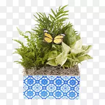 花卉设计花盆切花落叶混凝土花盆