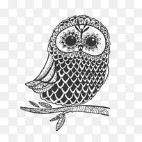 OWL绘制图像图形剪贴画OWL