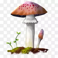 蘑菇泥