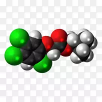 Ternua球形xl桌面壁纸产品设计计算机-紫色k co2