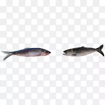 鳕鱼鲤鱼油性鱼类动物群-南方油炸鱼成分