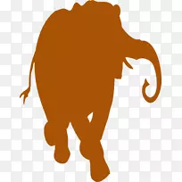 非洲象印度象剪贴画-焦橙色画框