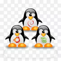 Linux内核ubuntu操作系统linux发行版