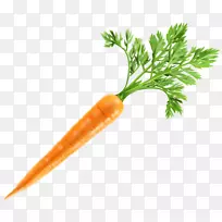 婴儿胡萝卜png图片剪贴画蔬菜胡萝卜