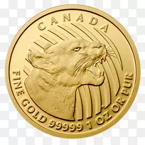 金币，克鲁格，金币-世界展望加拿大