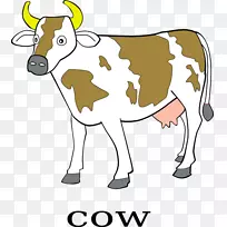 肉牛，泽西牛，小牛，得克萨斯长角牛，英国长角牛