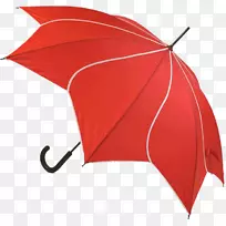 伞形花托等形花瓣花型.红色鸟笼伞
