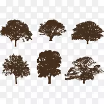 橡木剪影剪贴画图形树-剪影