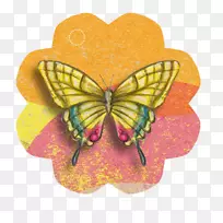 蝴蝶回形针艺术蝴蝶和飞蛾png图片.蝴蝶