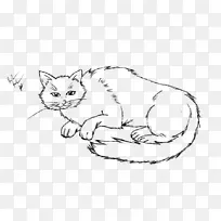 胡须野猫家养短毛猫猫