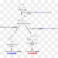 必需脂肪酸相互作用膳食补充剂前列腺素血栓素花生四烯酸