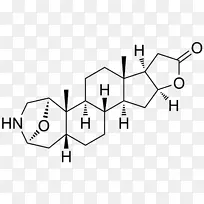 ethinylestradiol estrone多伦多研究化学品公司。乙炔基雌激素-高山蜥蜴