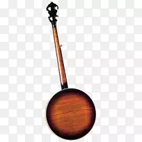 班卓琴吉他指板弦乐器.乐器