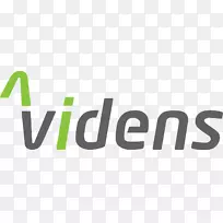 Videns it服务BV标志产品商标