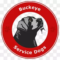 马林诺瓦犬精神科服务训练中心俄亥俄服务犬-训练g犬